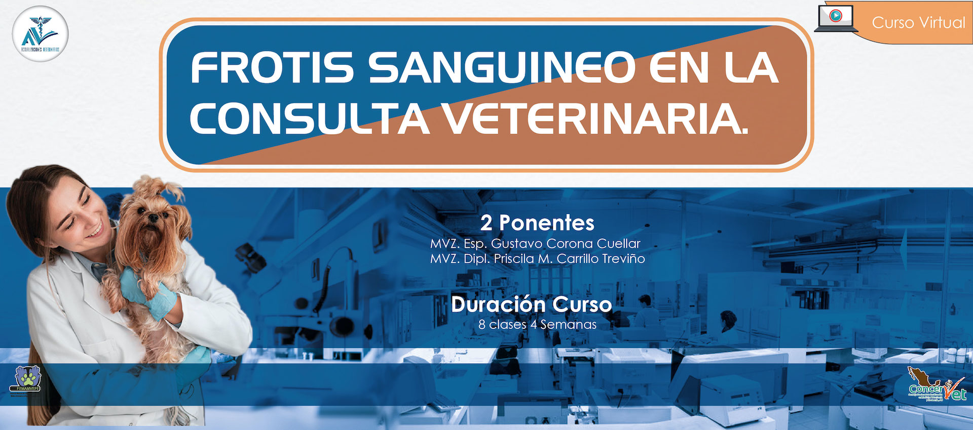 Frotis Sanguíneo en Consulta Veterinaria