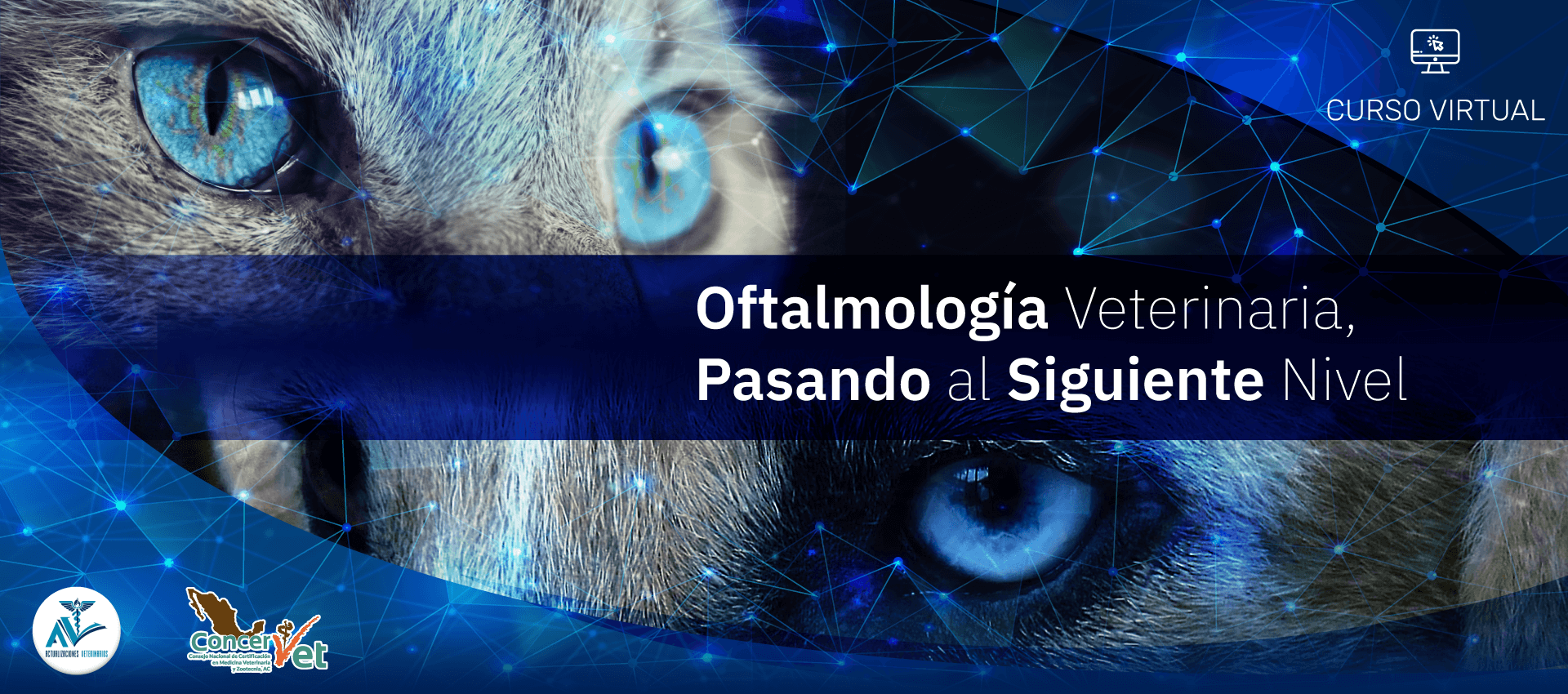 Oftalmología Veterinaria, Pasando al siguiente nivel.