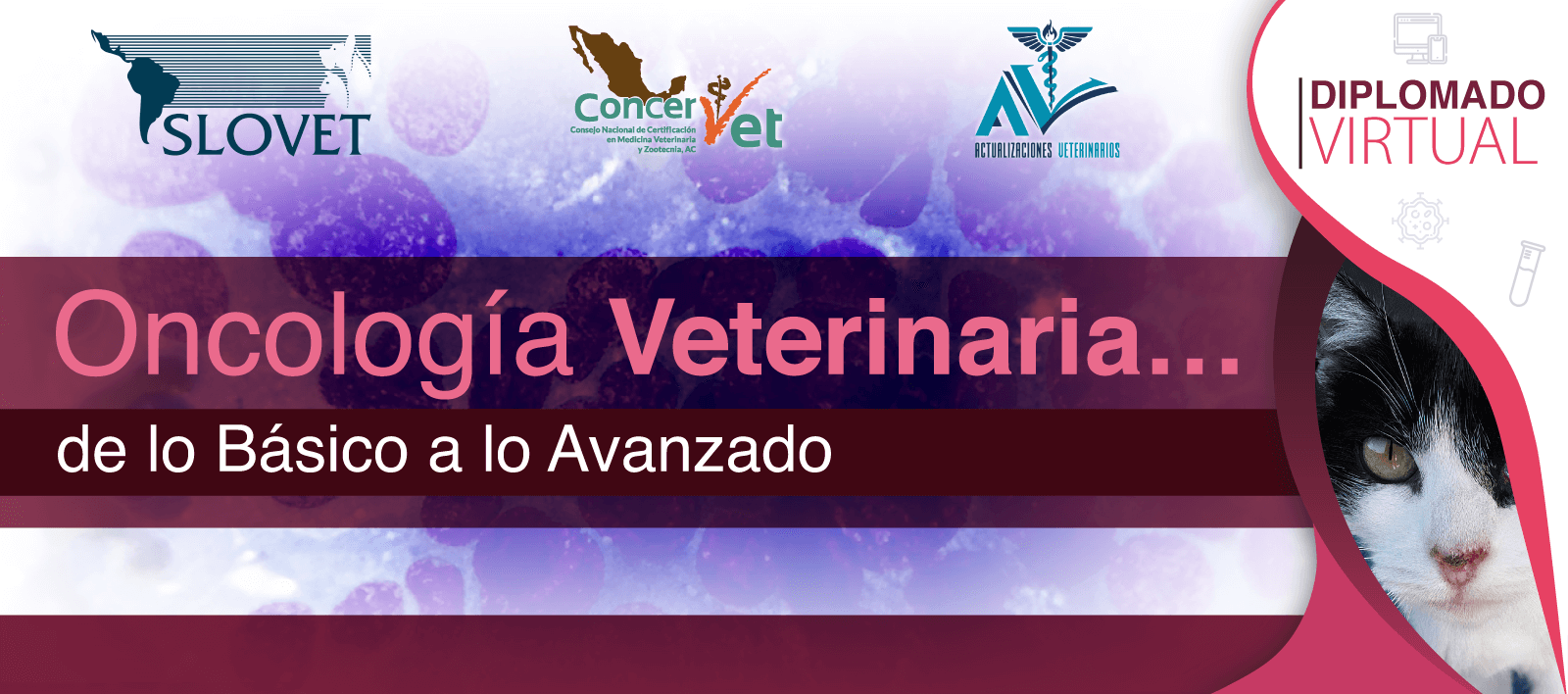 Diplomado Internacional de Oncología Veterinaria