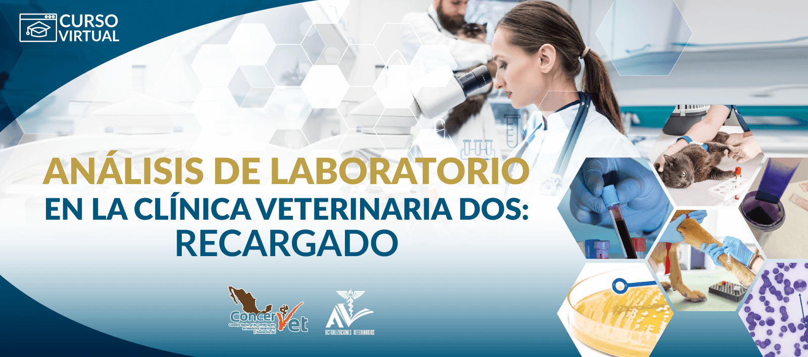 Análisis de laboratorio en la clínica veterinaria dos: RECARGADO